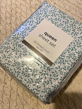 Queen Sheet Set Mint & White NWT